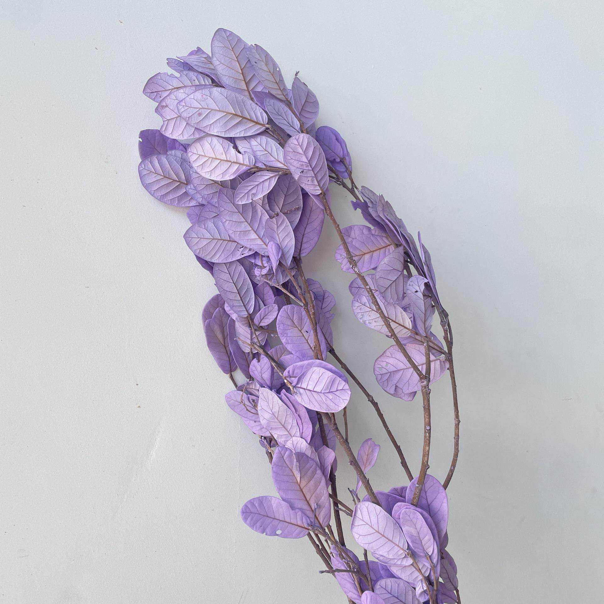 永生花刺梨黄金叶栗树叶板栗叶真树枝居家装饰花材工厂