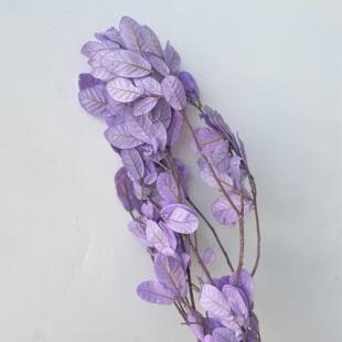 永生花刺梨黄金叶栗树叶板栗叶真树枝居家装饰花材工厂