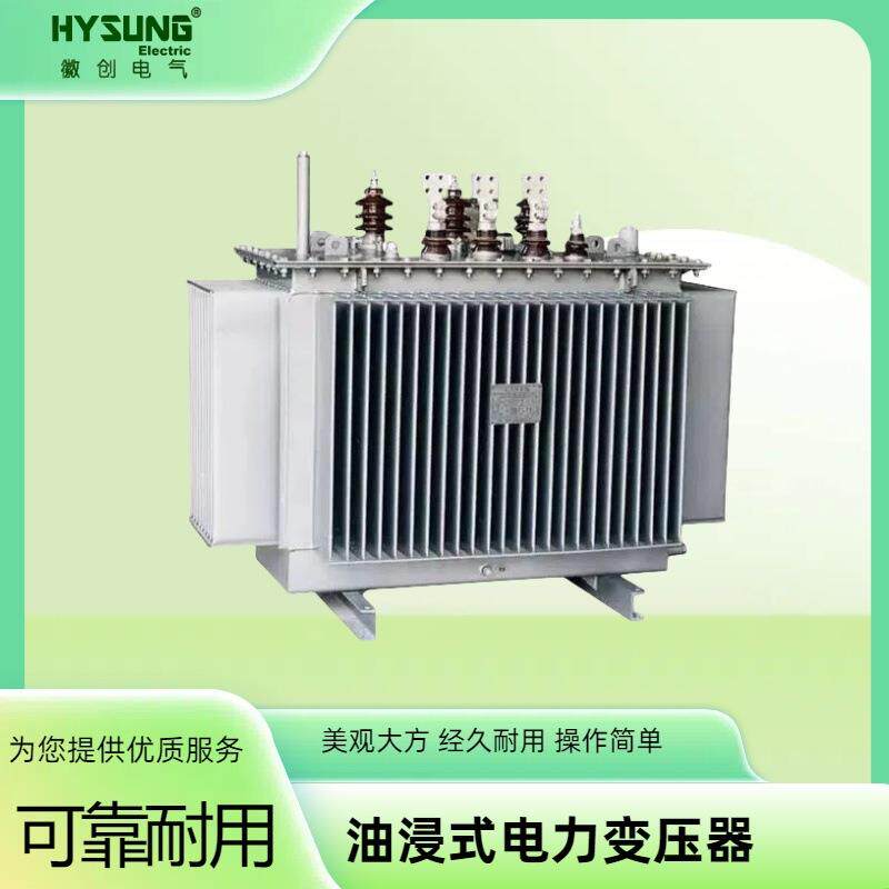 三相油浸式变压器S11 S10 S11 S12 13高压配电电力变压器10/0.4KV