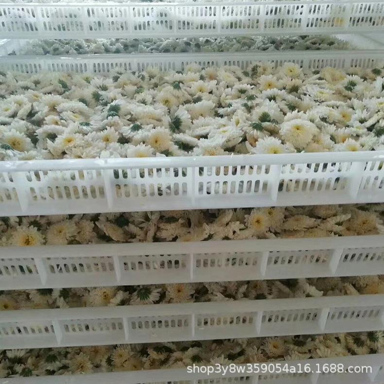 玫瑰花烘干箱煤电两用的系列菊花烘干设备甘草烘干机
