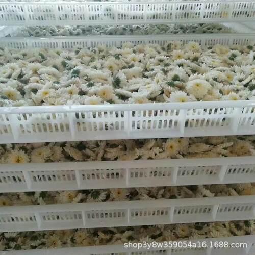 玫瑰花烘干箱煤电两用的系列菊花烘干设备甘草烘干机
