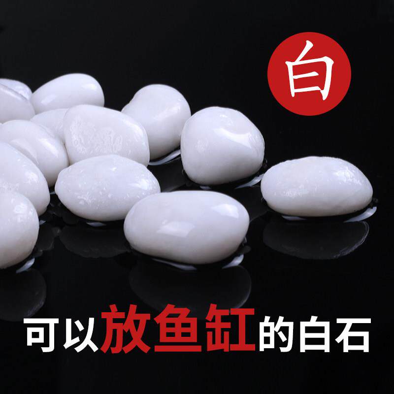 白色石子庭院装饰材料精抛光小白石景观阳台造景白石头铺地鹅卵石
