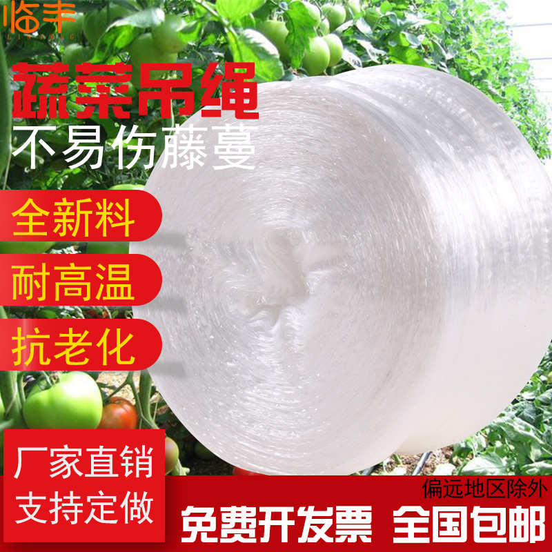 臨豐大棚專用耐高溫吊繩抗老化全新料瓜果蔬菜吊秧捆扎繩尼龍繩