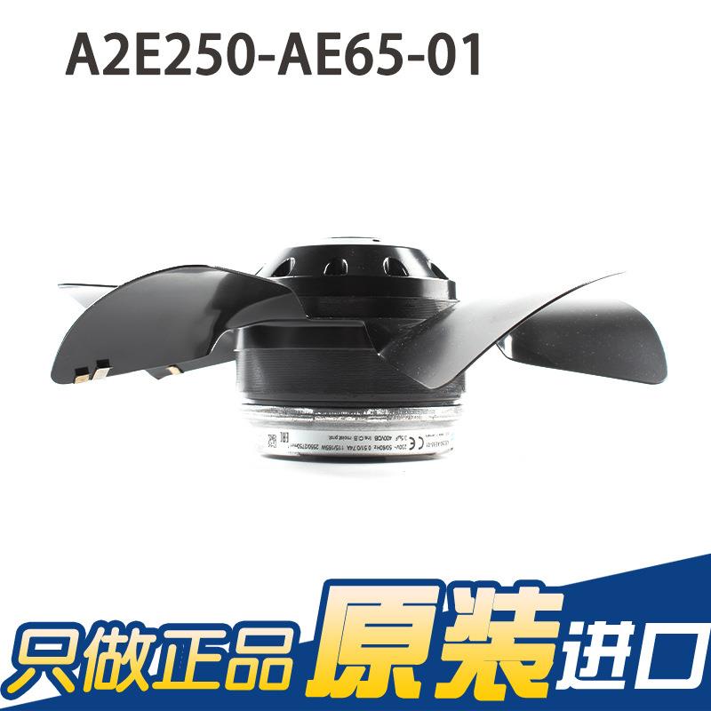 ebmpapst A2E250-AE65-01 230V 蒸发器风机 冷凝风机 主轴电机