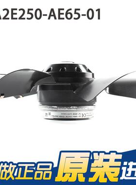 ebmpapst A2E250-AE65-01 230V 蒸发器风机 冷凝风机 主轴电机