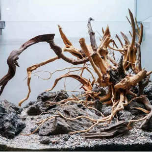 产地批发水族箱造景装饰天然杜鹃根沉木造景木栖根水景草缸莫斯树