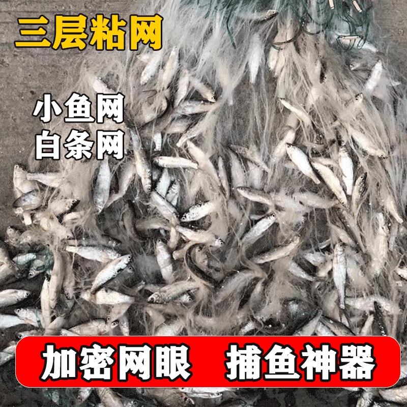 小渔网黏网三层白条网捕鱼网浮网沉网50米100米长渔网餐条网1指网