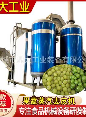 工业级葡萄去皮机无化学剂去皮速度可调满足不同产能需求