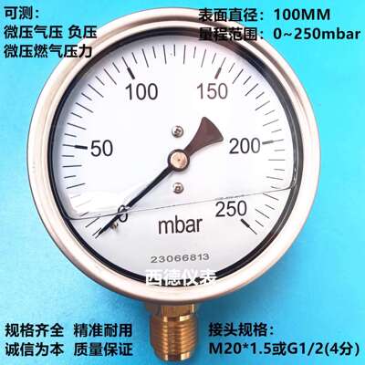 100MM直立式充油耐震防震0~250mbar微压气压表膜盒微压表