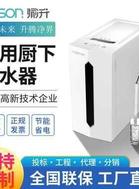 愉升家用厨下净水器反渗透直饮设备除垢纯水机净水机