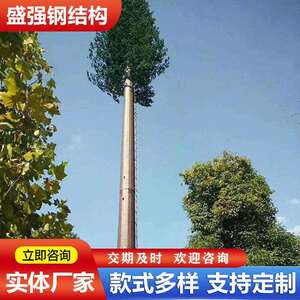 盛强钢结构大量供应仿生树避雷针塔 公园景区仿生树避雷针