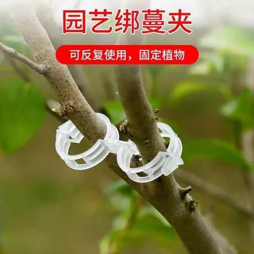 Plant Support Clips, Vine Binding Clips, Plant Hangers, Gree