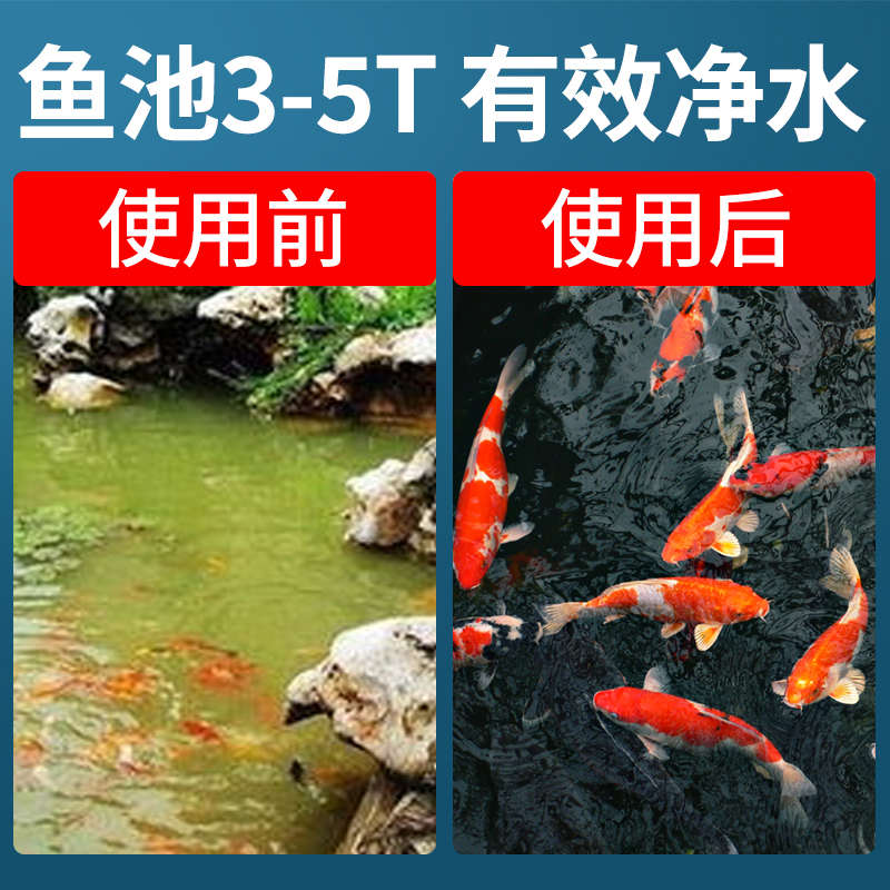 疯狂水草鱼池过滤器转鼓微滤机全自动排污反洗水循环过滤系统批发