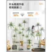 仿绿真植假植物轻奢客真装 饰树OFS室内大型厅盆栽龙血树落地摆件