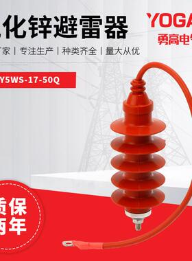 10KV高压避雷器YHHY5WS-17/50Q带电缆复合金属氧化锌避雷器