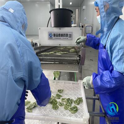 炸桑叶的设备 全自动翠叶裹浆机翠叶油炸机整套加工设备 香酥翠叶