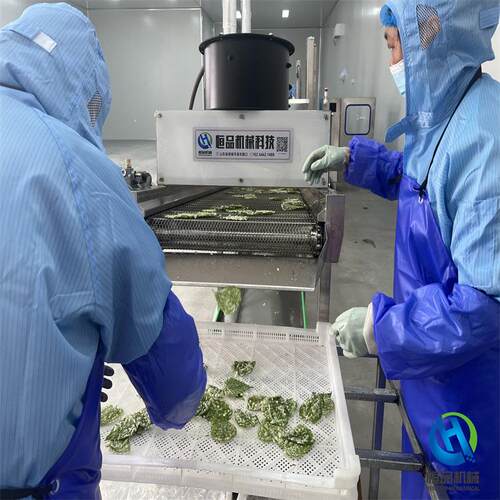 炸桑叶的设备 全自动翠叶裹浆机翠叶油炸机整套加工设备 香酥翠叶