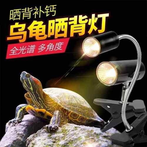 乌龟晒背灯泡灯架补钙UVA爬宠陆龟灯宠物取暖保温灯蜥蜴太阳灯