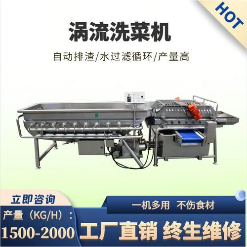 多功能涡流清洗机净菜半成品加工设备去杂去农残果蔬输送加工产线