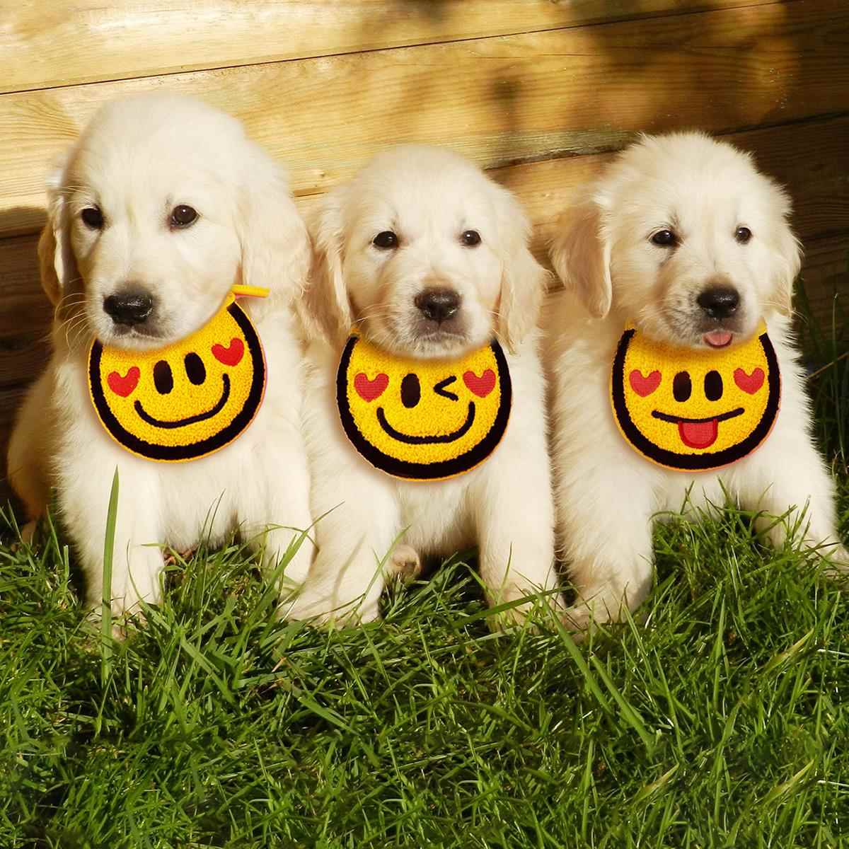 夏天宠物口水巾狗狗围巾表情可爱猫咪围脖防口水防脏耐用透气黄色