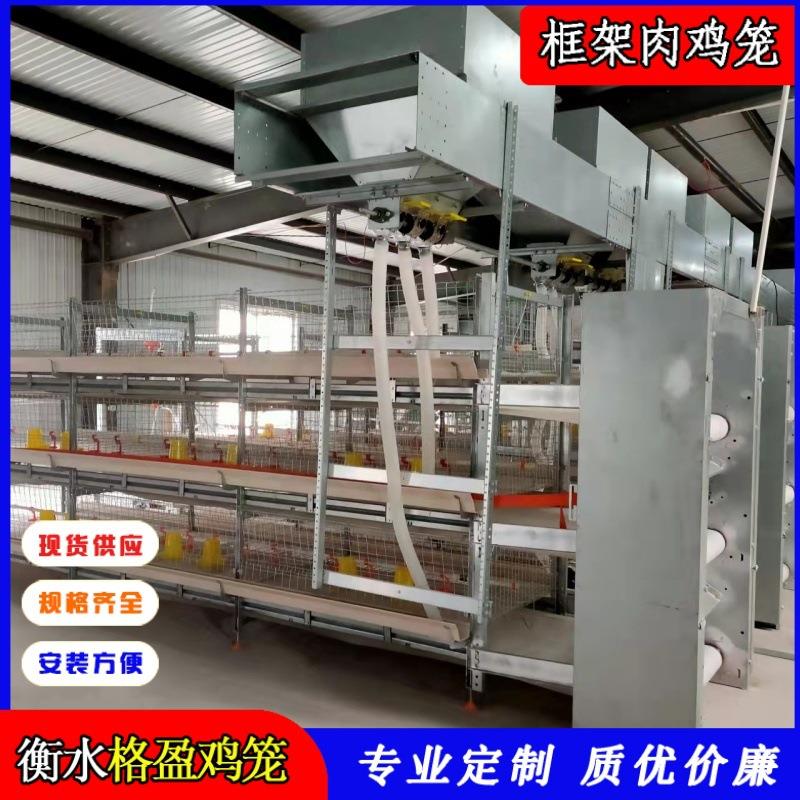 全自框架肉鸡笼三层立式肉鸡笼框架肉鸡笼全自动化肉鸡养殖设备