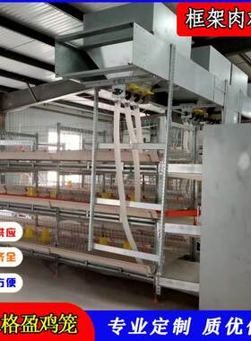 全自框架肉鸡笼三层立式肉鸡笼框架肉鸡笼全自动化肉鸡养殖设备