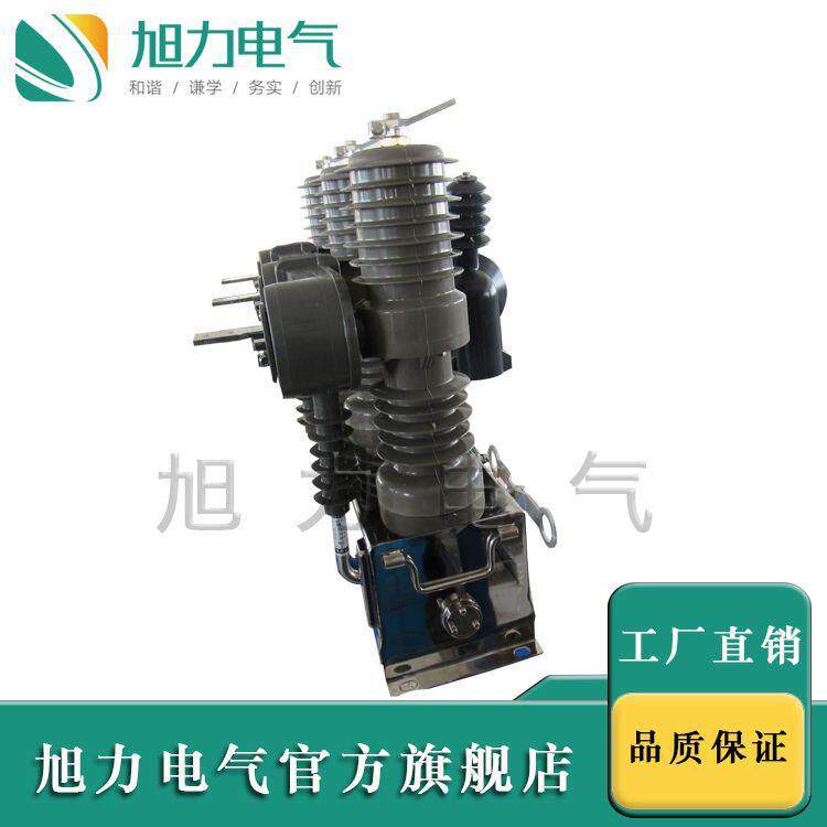 ZW32-12F真空断路器10KV电动 带PT柱上ZW32-12F/630A开关