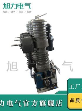 ZW32-12F真空断路器10KV电动 带PT柱上ZW32-12F/630A开关