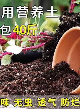 有机营养土厂家土壤种菜养花专用土盆栽家用大包家庭园艺