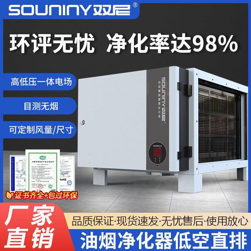 双尼油烟净化器餐饮商用大吸力静电式厨房烧烤净化设备低空直排