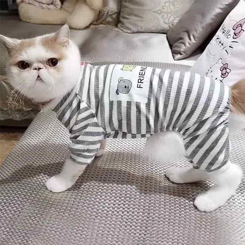 猫咪衣服四脚春秋款条纹春夏装英短布偶幼猫家居服宠物小狗狗睡衣,宠物/宠物食品及用品,猫宠物服装/雨衣（新）,淘宝优惠券,粉丝福利购,淘宝优惠卷