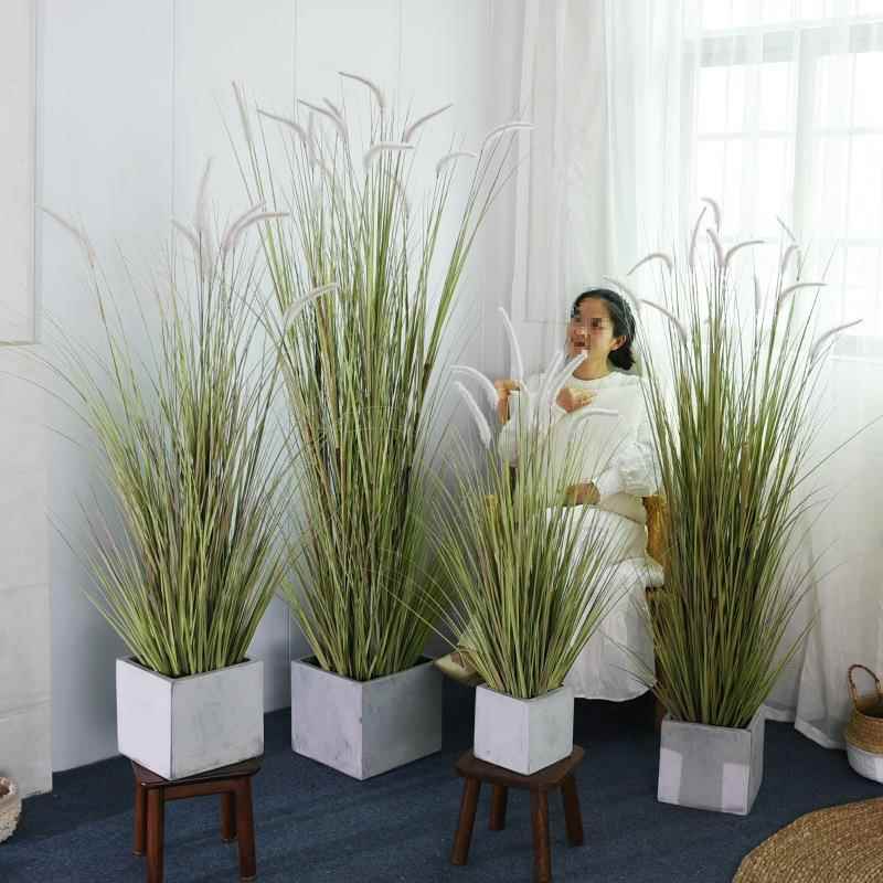 绿植狗尾草假麦太保芦苇草地盆栽落装内饰盆景室巴客厅植物造景摆