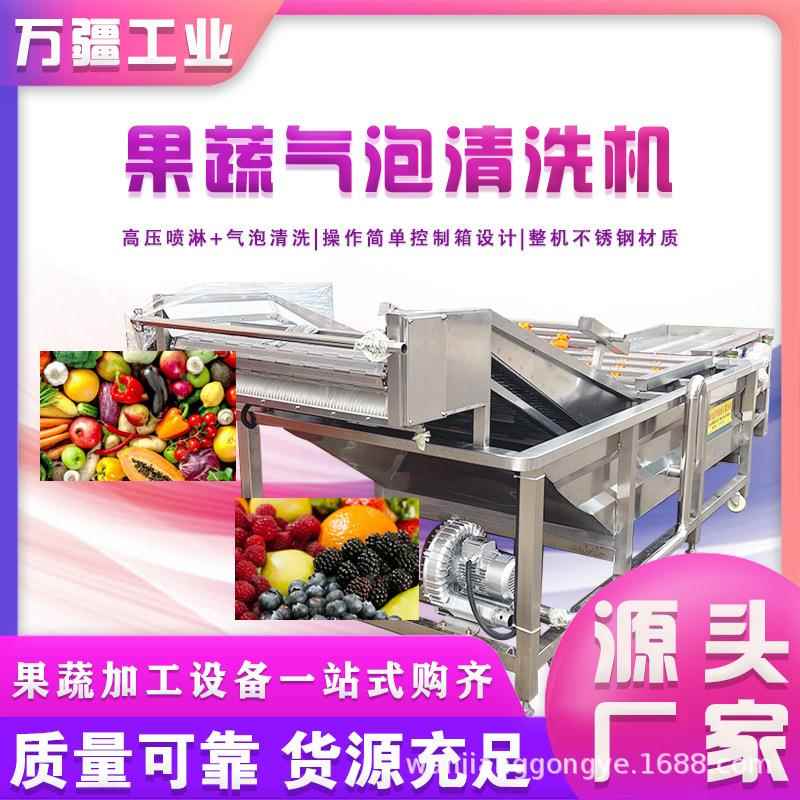 工厂生产瓜果气泡清洗机豆芽韭菜清洗设备笋尖清洗加工生产线