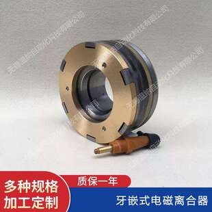 EZB牙嵌式 600A 电磁离合器 400A DLY10