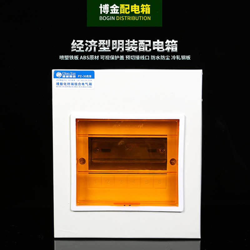 家用 pz30家用箱箱开关箱配电照明强电明装明装箱回路