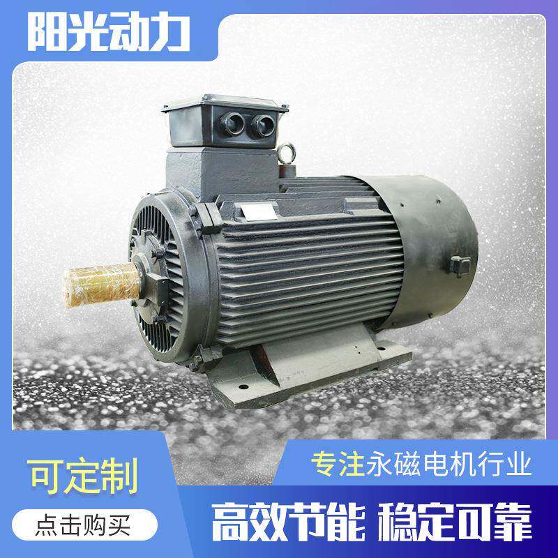 1000kw永磁高效发电机三相交流低速直驱稀土永磁IP54防护电机