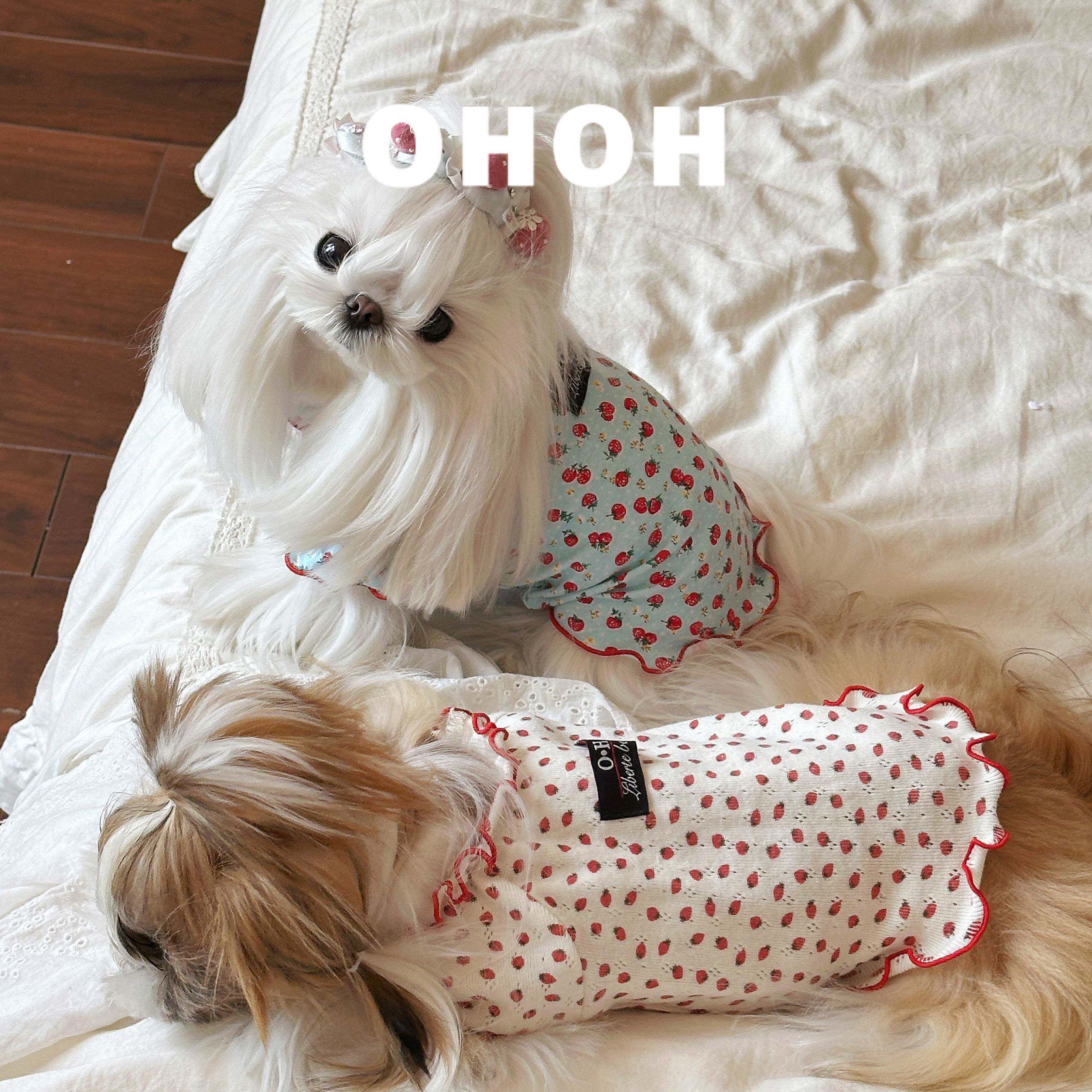 【OHOH】Gummy Bear系列宠物衣服草莓家居服中小型犬