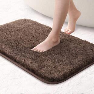toilet Entrance carpe bathroom mat door floor