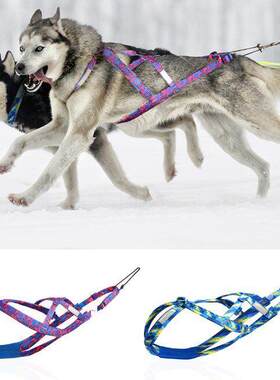 狗拉雪橇阿拉斯加哈士奇大型犬胸