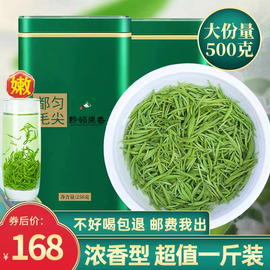 贵州都匀毛尖茶叶2024新茶，特级高山云雾绿茶嫩芽，春茶叶礼盒装500g