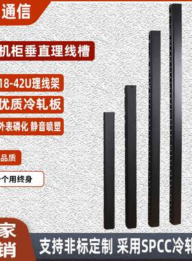 18U42U垂直理线槽竖向理线金属理线架伺服器800宽机柜线缆管理器