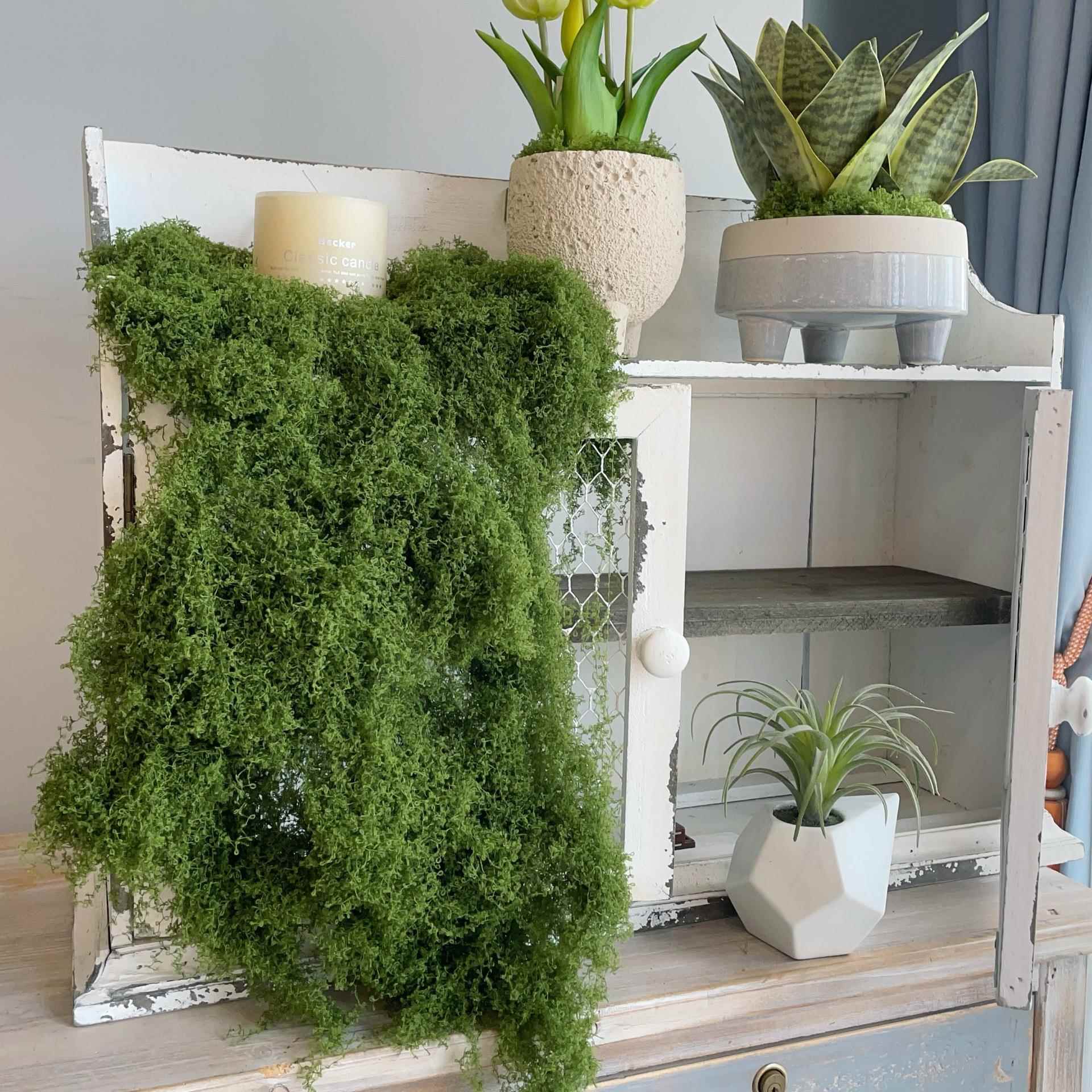 厂家直销人工景观假青苔毛石头 客厅家居布置花苔藓