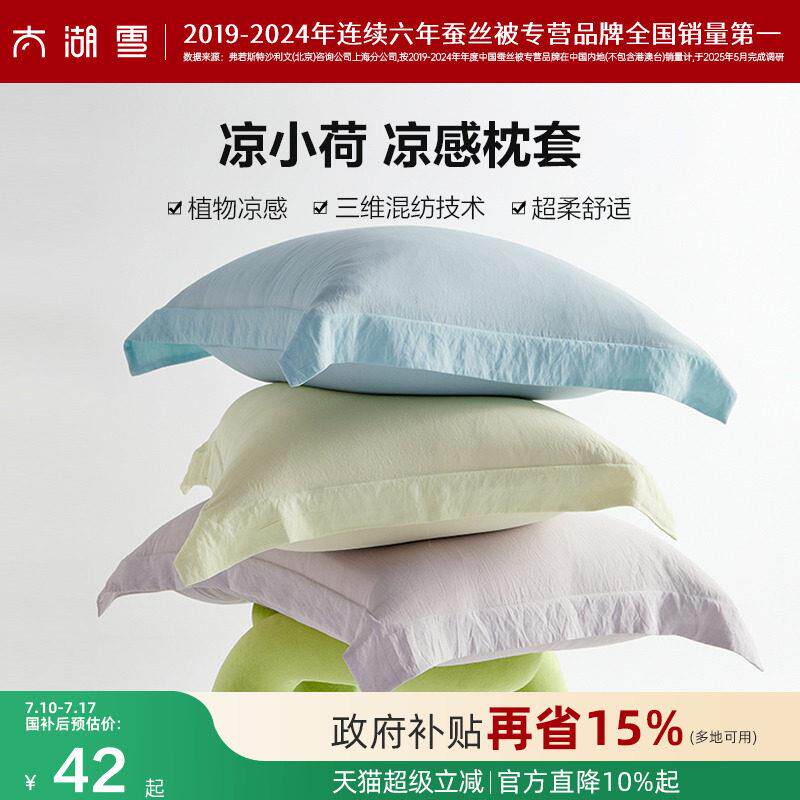 太湖雪枕套凉感夏天凉小荷家用枕头套一对装48x74cm