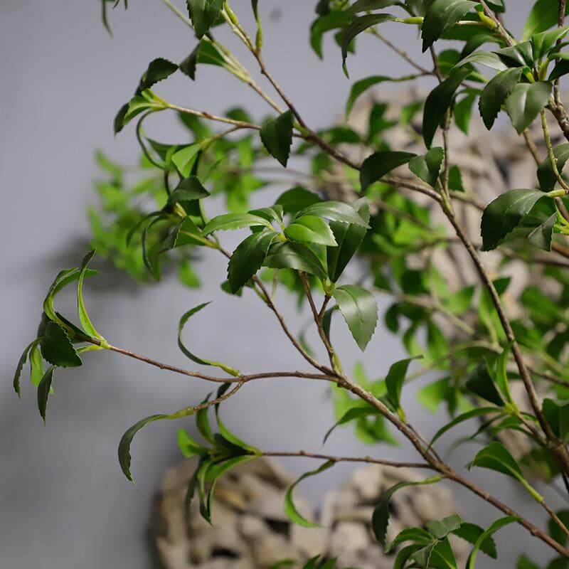 仿真马醉木假植物盆栽小型假树室内盆景装饰 塑胶杆假绿植仿真树