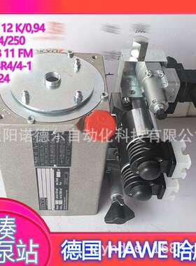 HAWE哈威泵站HC24DT/1,1-AB1KPC300-VB01FM-N5-1-G243x400V50Hz