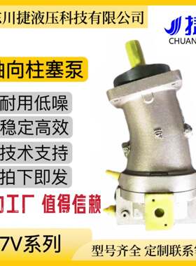 A7V58-A7V80 A7V78-A7V107 A7V117-A7V160斜轴式柱塞泵加工挖掘机