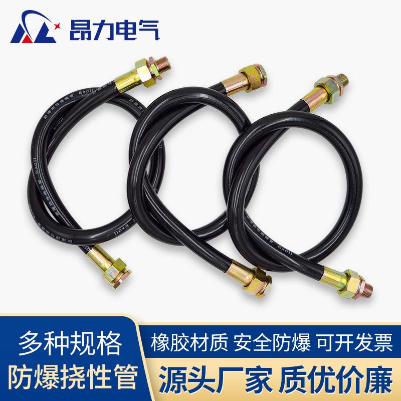 防爆挠性连接软管BNG 金属软管穿线管4分6分1寸现货 DN15DN20厂家