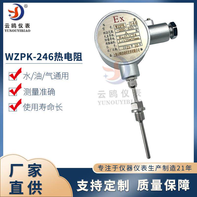 防爆等级ExdIICT6防爆铠装热电阻WZPK-246隔爆铠装热电阻WZPK2-2