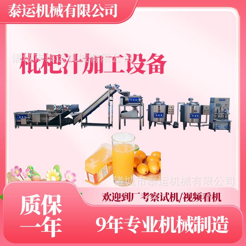 浙江枇杷汁生产加工机器全套柑橘汁生产设备猕猴桃汁生产加工设备