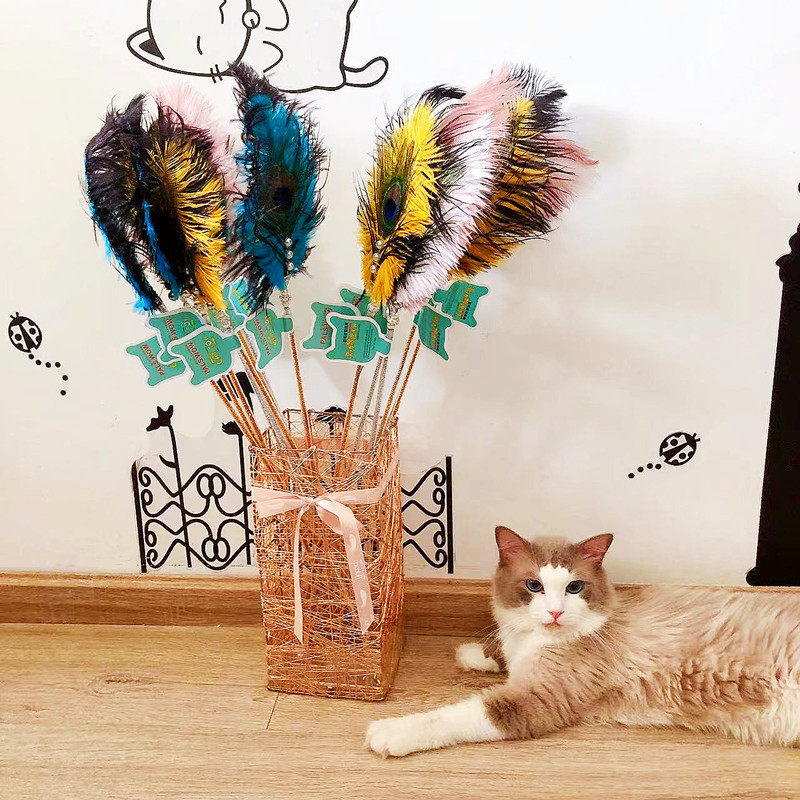 新款猫玩具轻奢鸵鸟孔雀毛逗猫棒互动铃铛逗猫玩具宠物用品,宠物/宠物食品及用品,宠物智能玩具,淘宝优惠券,粉丝福利购,淘宝优惠卷